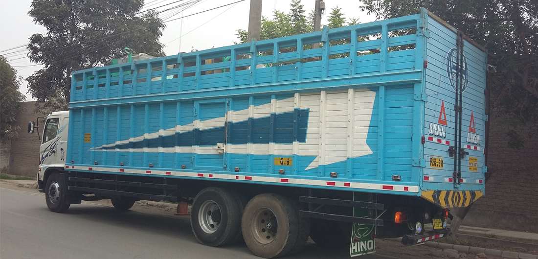 camion-de-carga-envio-a-nivel-nacional